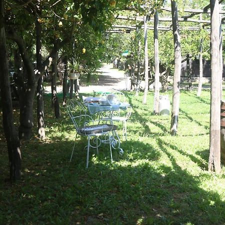 Emy'S Country House Leilighet Castellammare di Stabia Eksteriør bilde
