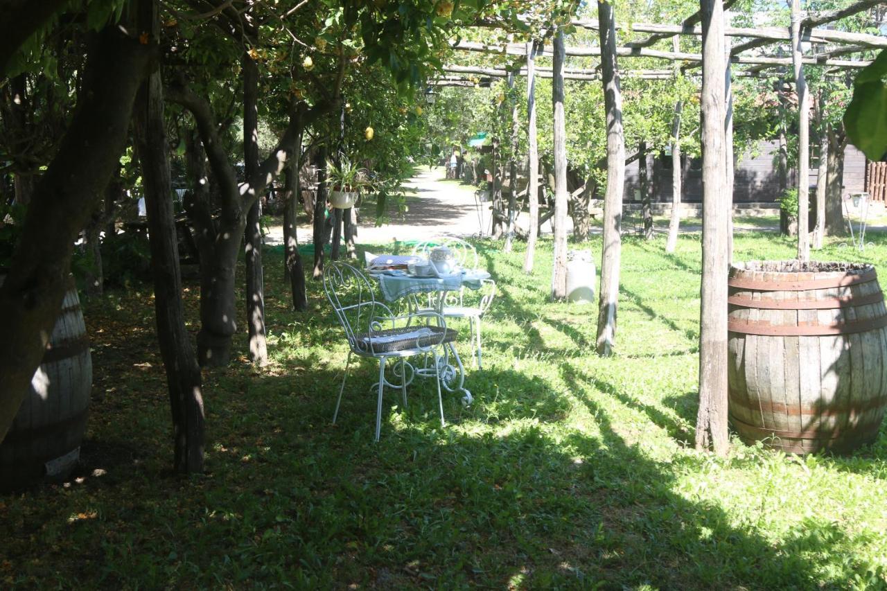 Emy'S Country House Leilighet Castellammare di Stabia Eksteriør bilde